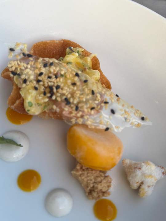 Gastro Paloma Finesse