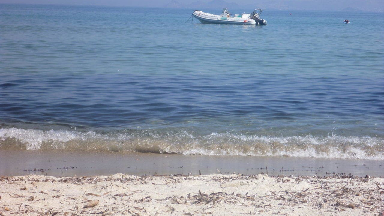 Ein wenig Seegras ist nicht schlimm Hotel Tigaki Beach