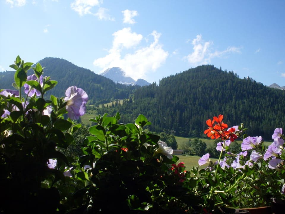 Blick vom Balkon der Fernblickwohnung Haus Elisabeth