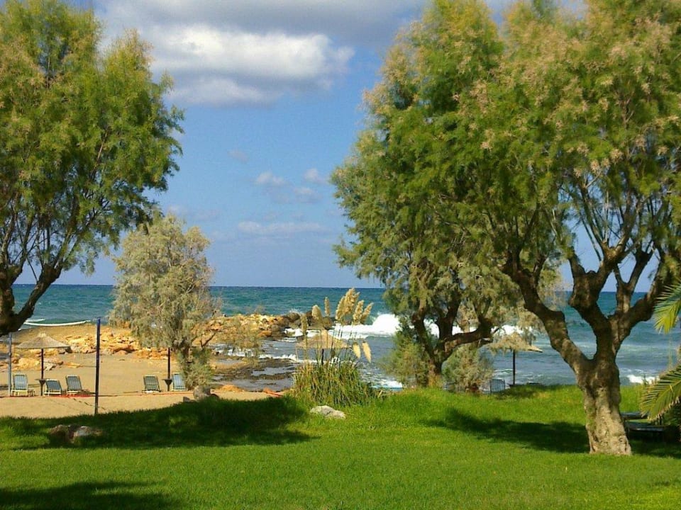 Blick auf das Meer Phãea Cretan Malia