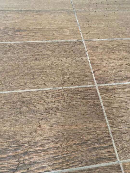 Zimmer Hotel Rosa Beach