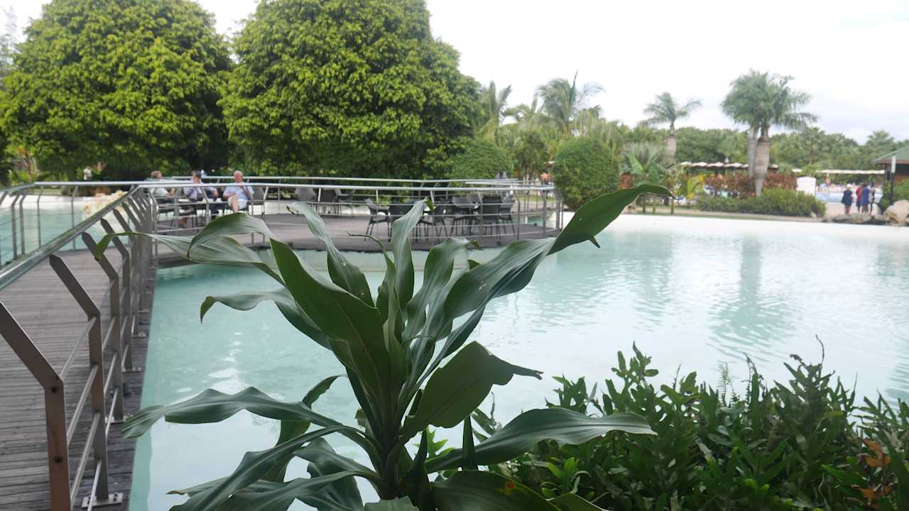 Weg zur Außenanlage Blau varadero - Adults only