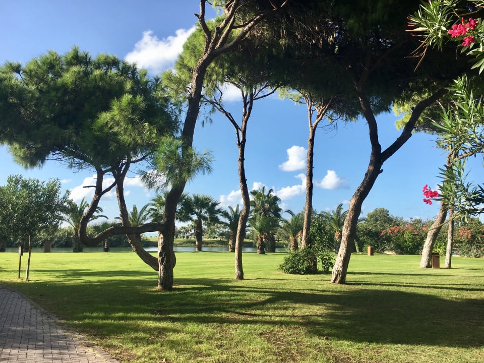 Gartenanlage Gloria Serenity Resort