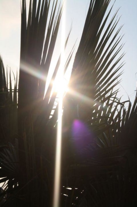 Garten Hotel Orfeus Park