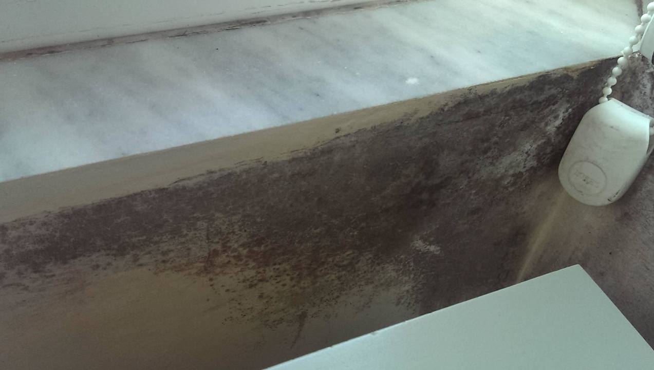 Noch mehr Schimmel Grand Hotel Saranda