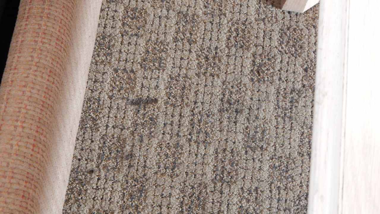 Teppich Best Western Plus Hotel Inn Suites Tucson Foothills