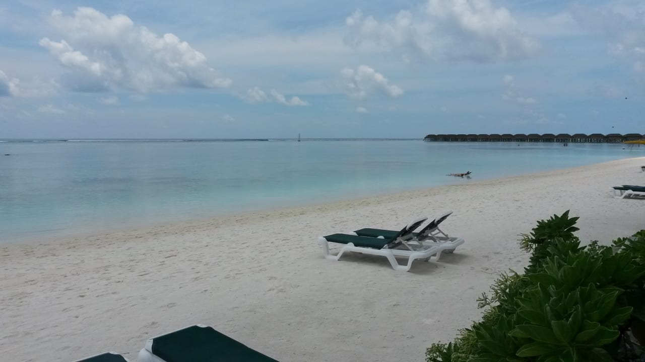 Strand Meeru Maldives Resort Island
