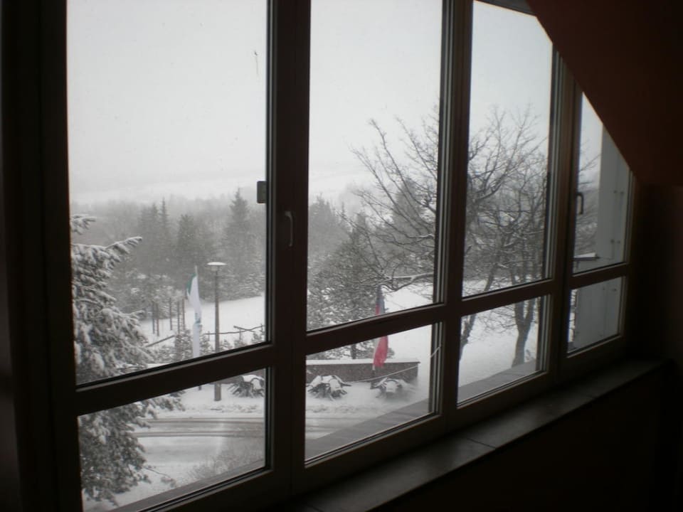 Ausblick in Erzgebirge Hotel Lugsteinhof