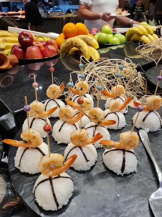 Gastro Seashell Vega