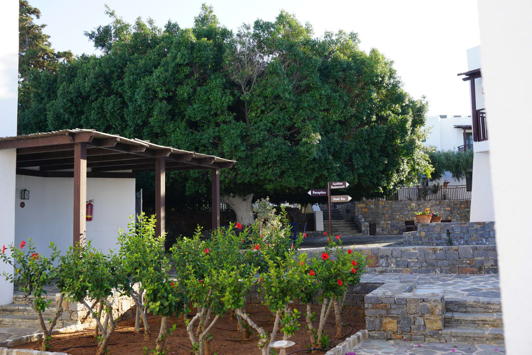 Gartenanlage Creta Maris Resort