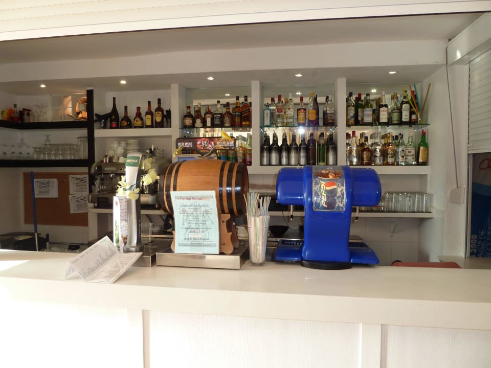 Blick Coral Los Alisios