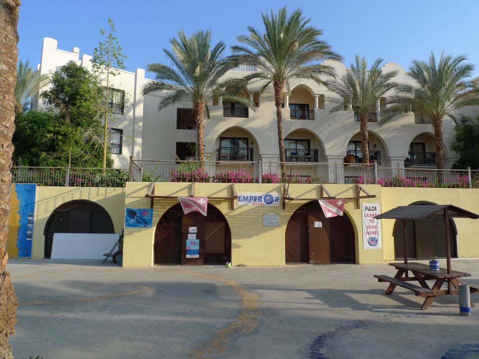 Tauchbasis Pickalbatros Palace Hotel-Port Ghalib