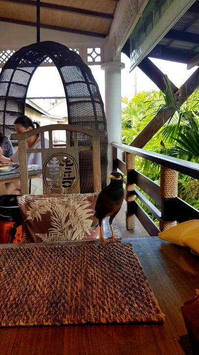 Gastro Cape Panwa Hotel