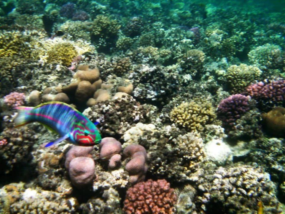 10 Brayka Bay Resort