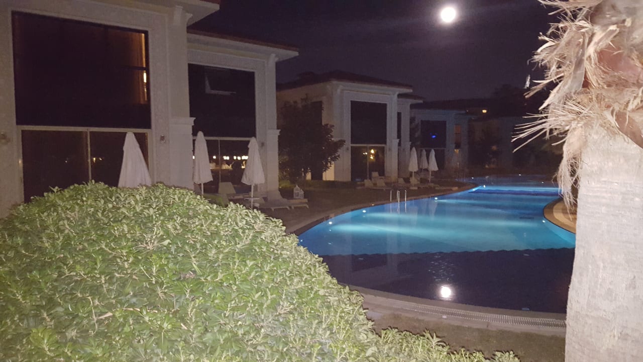 Pool Paloma Oceana