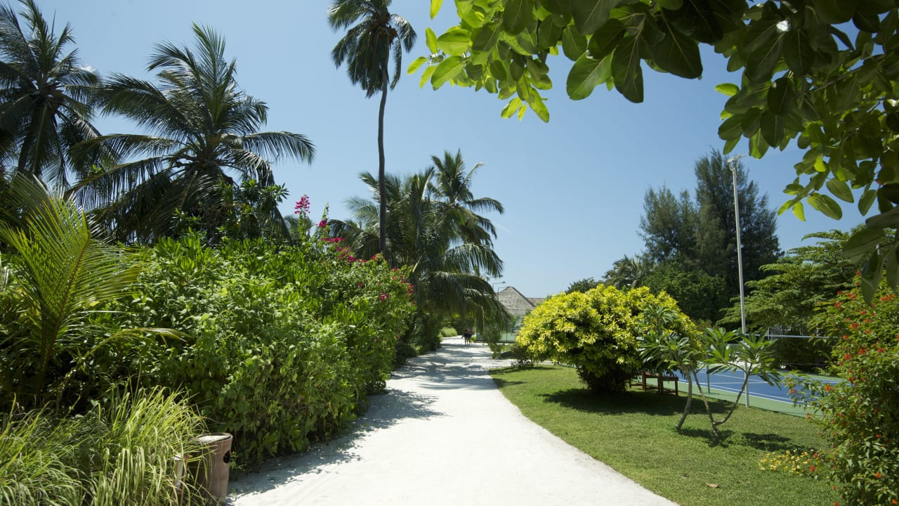 Alles grün... Vilamendhoo Island Resort & Spa