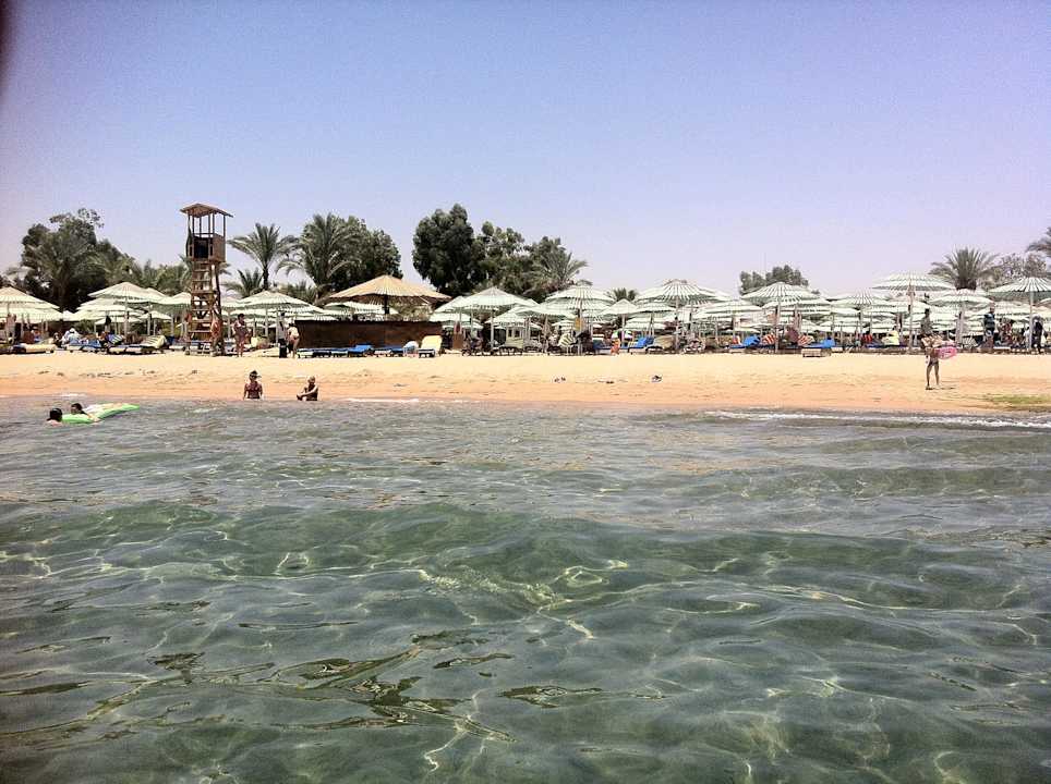 Blick vom Meer zum Strand Ghazala Gardens