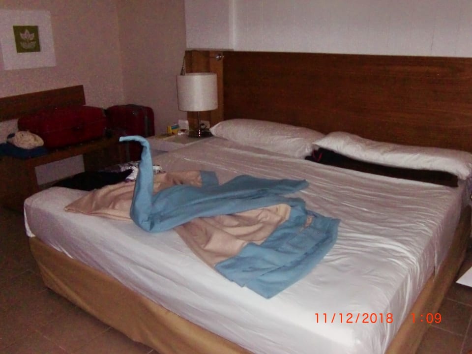 Zimmer Sirenis Tropical Varadero