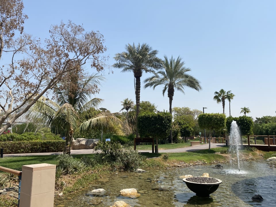Gartenanlage Grand Hyatt Dubai