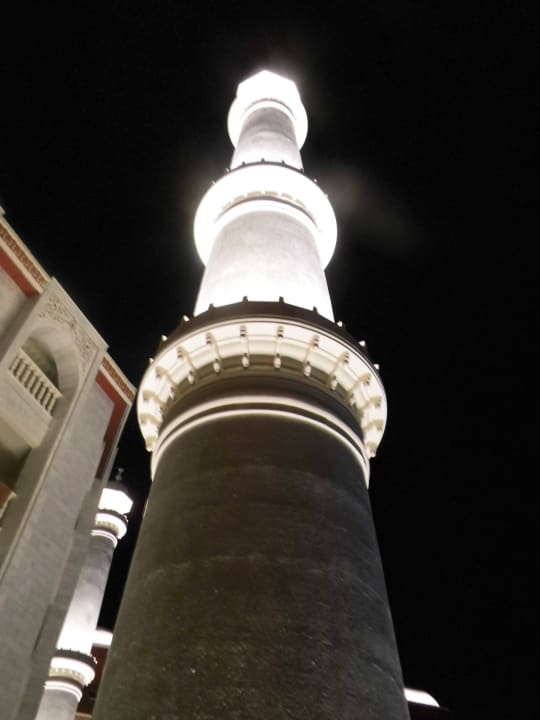 Impression Royal Taj Mahal Hotel