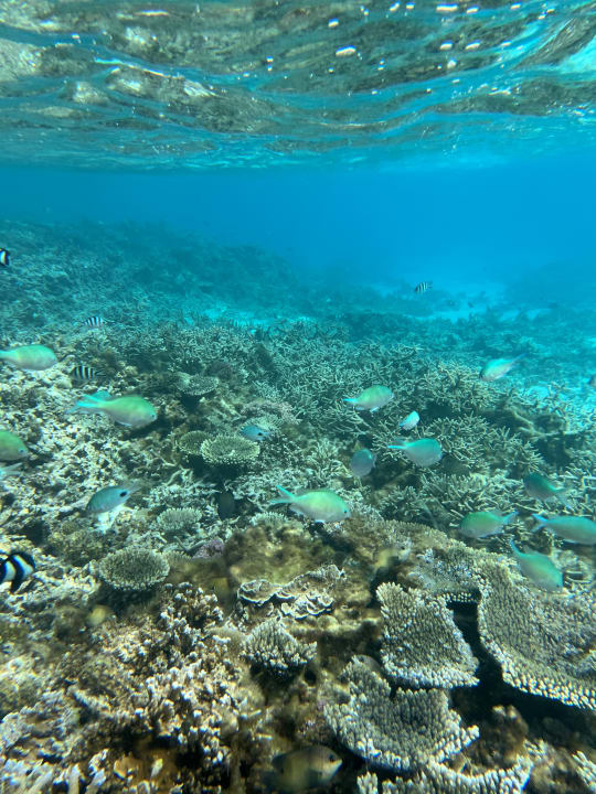 Sport & Freizeit Solana Beach Mauritius