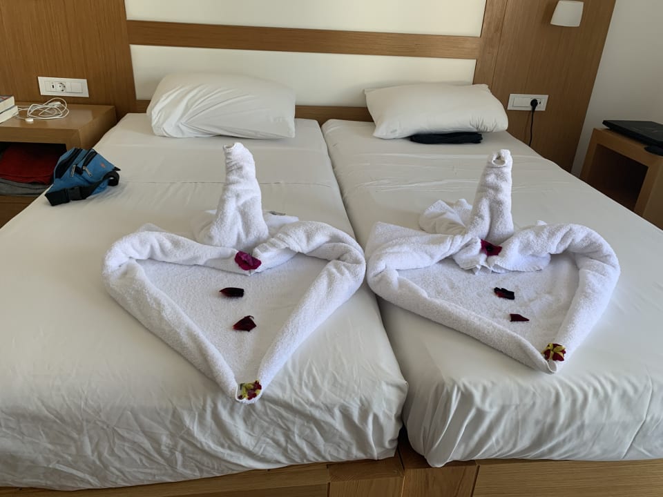 Zimmer Summer Village of Hippokrates - Adults only