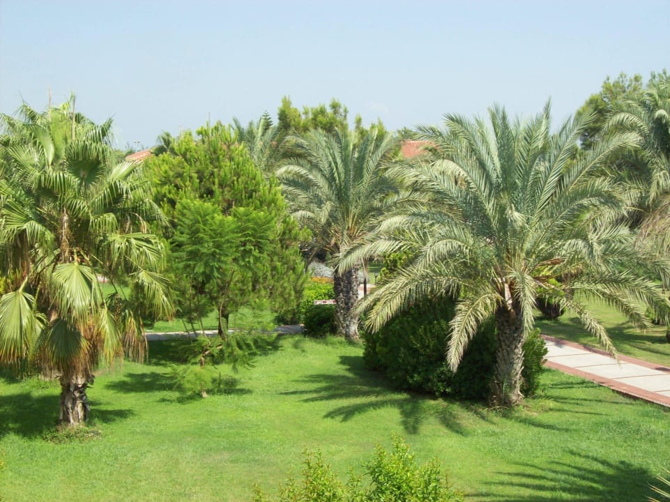 Blick vom Zimmer Asteria Family Resort Side