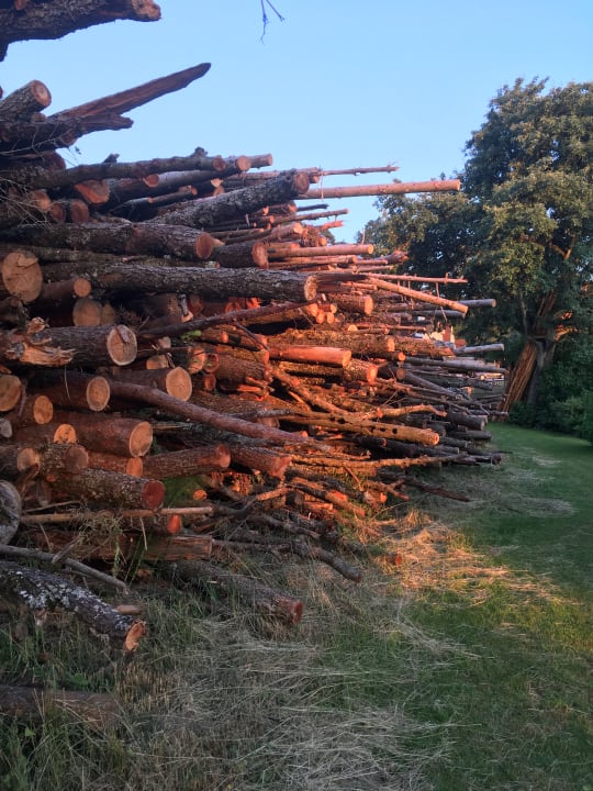 Gartenanlage Wilfinger Bio Thermen Hotel