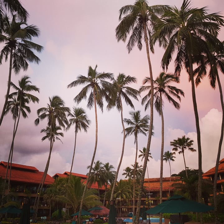 Ausblick Royal Palms Beach Hotel