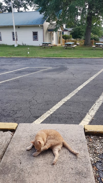 Außenansicht Hancock Motel