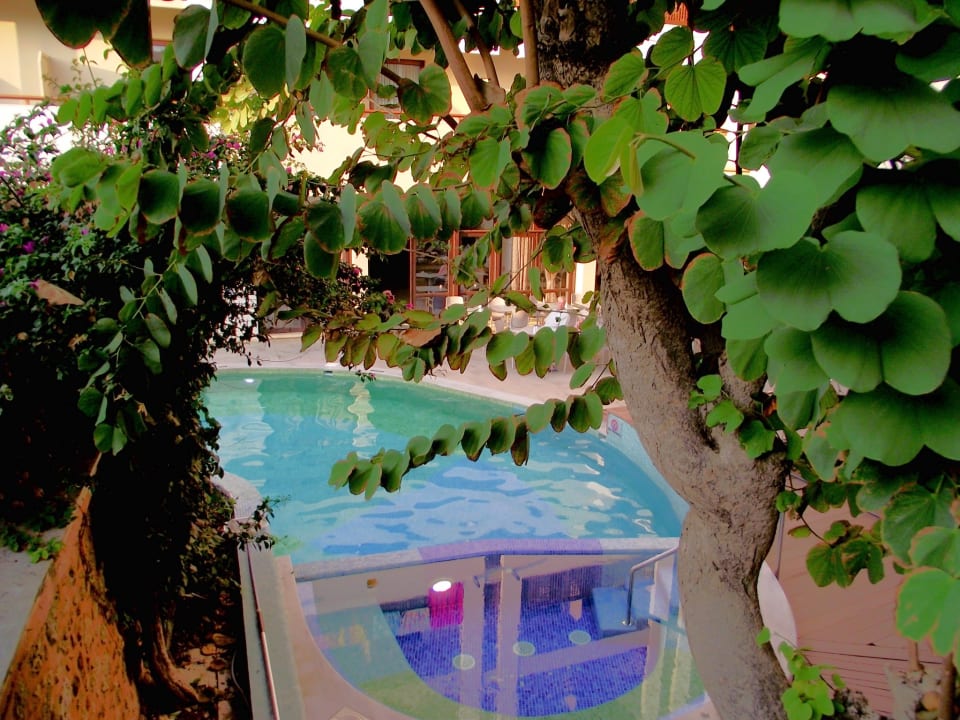 Pool Separe House by Ideon