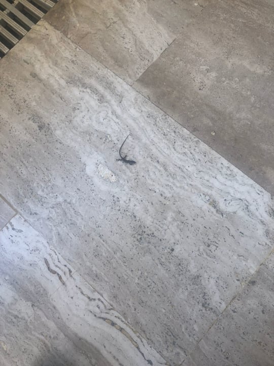 Pool Sunrise Queen Luxury Hotel