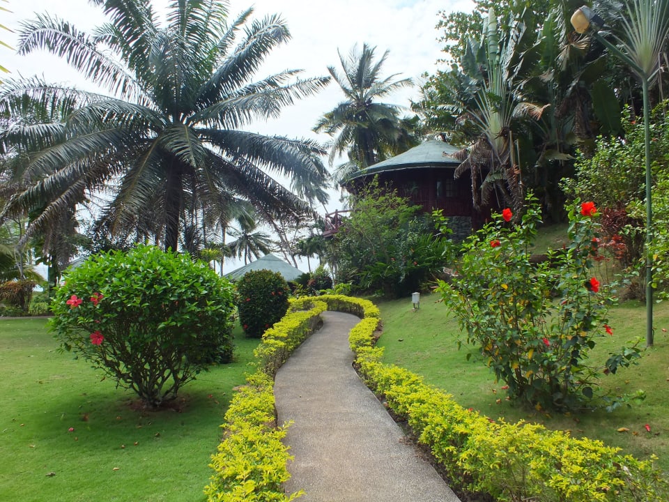 Geplegter Garten  Hotel Bom Bom Island Resort