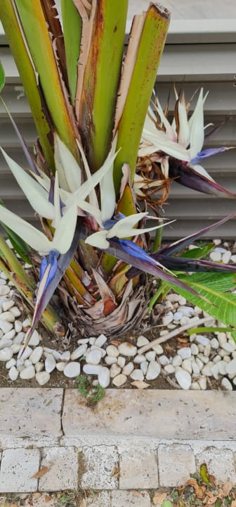 Sonstiges Sun Beach Park & Spa