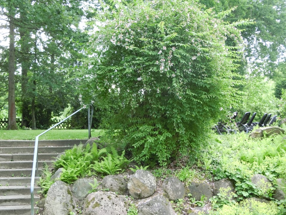 Gartenanlage Ringhotel Fährhaus