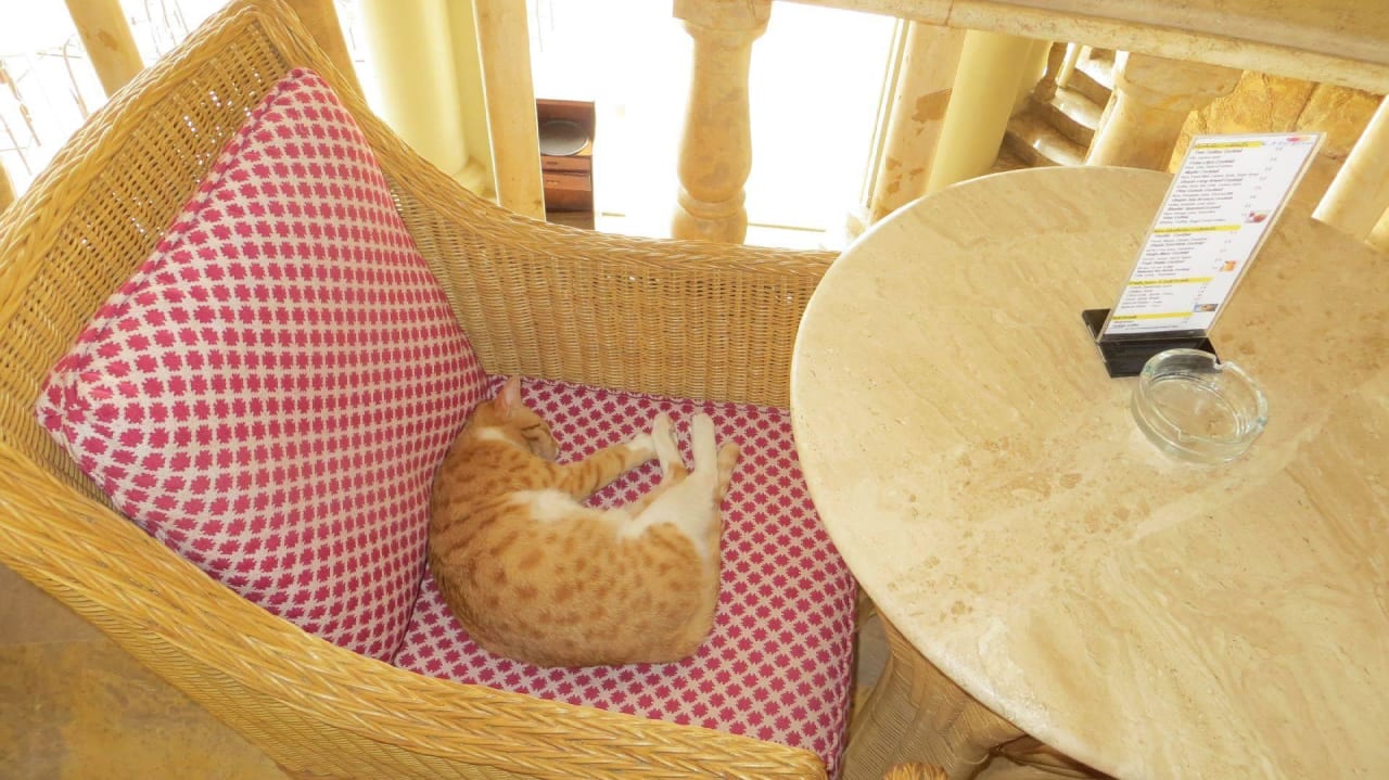 Selbsterklärend Utopia Beach Club