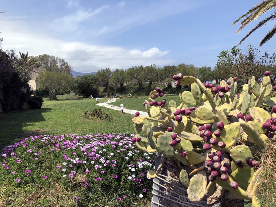 Gartenanlage Santa Marina Beach