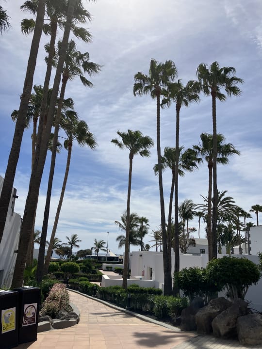 Gartenanlage Hotel Riu Paraiso Lanzarote