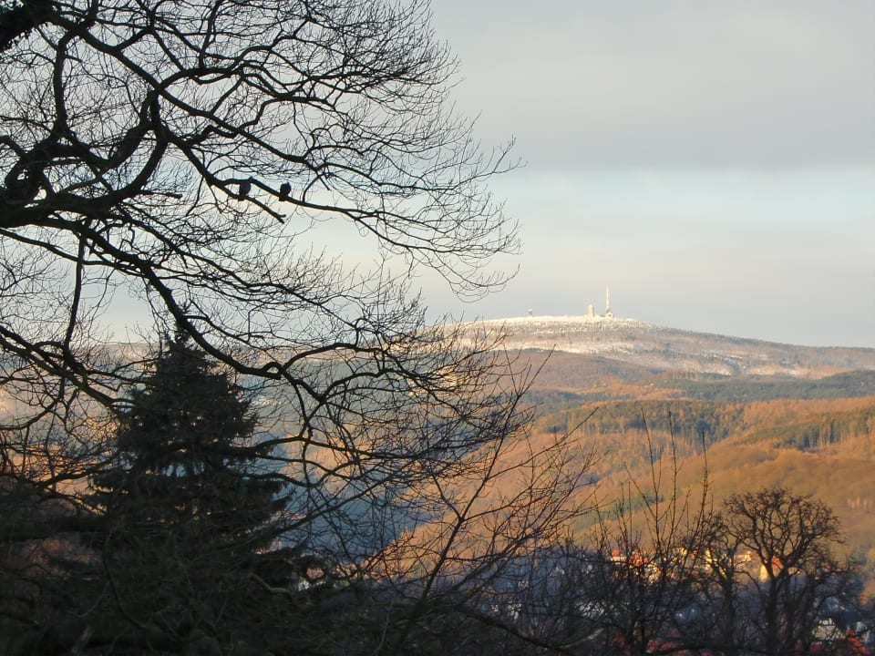 Ausblick Hotel Erbprinzenpalais