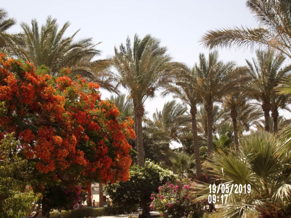 Gartenanlage Brayka Bay Resort