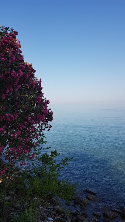 Ausblick Trendy Side Beach Hotel - Adults only