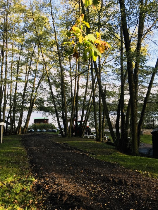 Ausblick Familotel Borchard's Rookhus am See