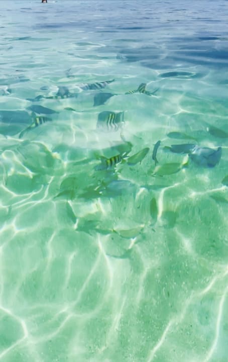 Strand Bahia Principe Grand El Portillo