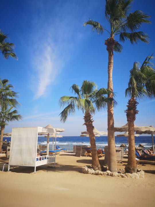 Strand Pickalbatros Citadel Resort