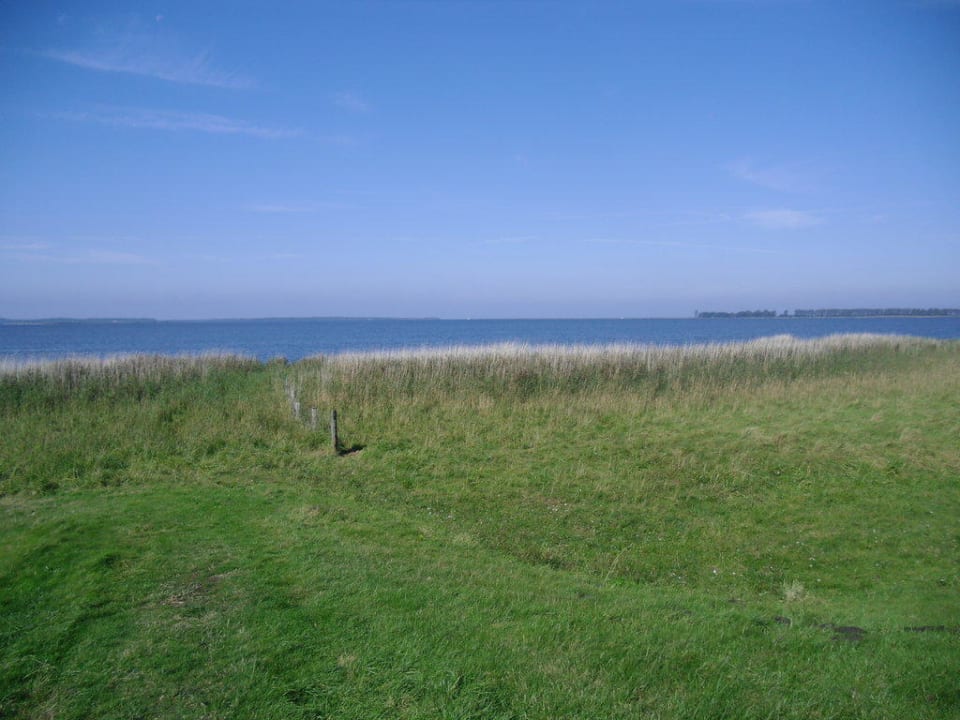 Ausblick Rügen-Ferienhof