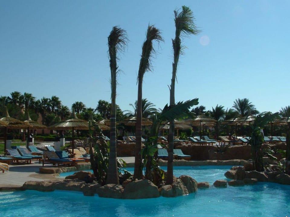 der neue pool Beach Albatros Resort