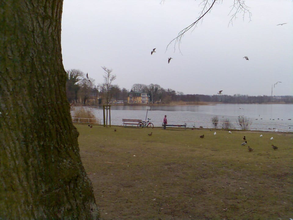 Ein Ruheplatz Ferienwohnanlage Ostseepark Bansin