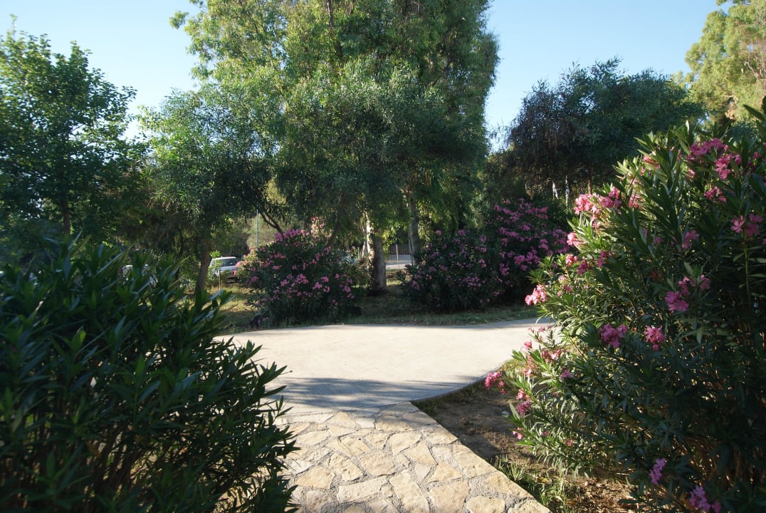 Ogrod Domes Aulūs Zante, Autograph Collection