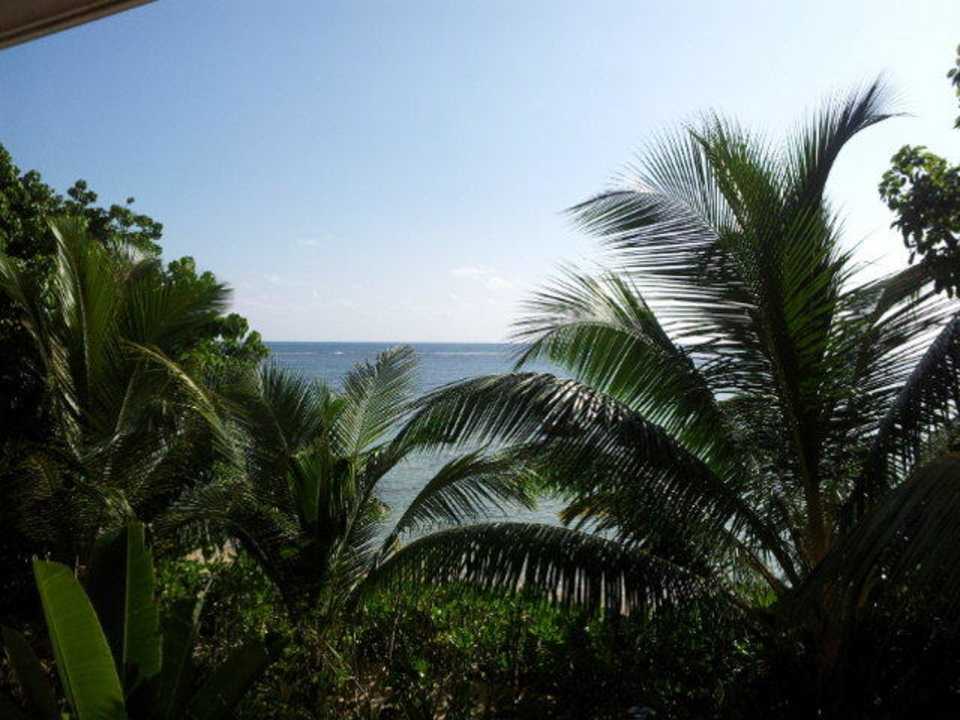 Blick vom Zimmer Villa Dorado