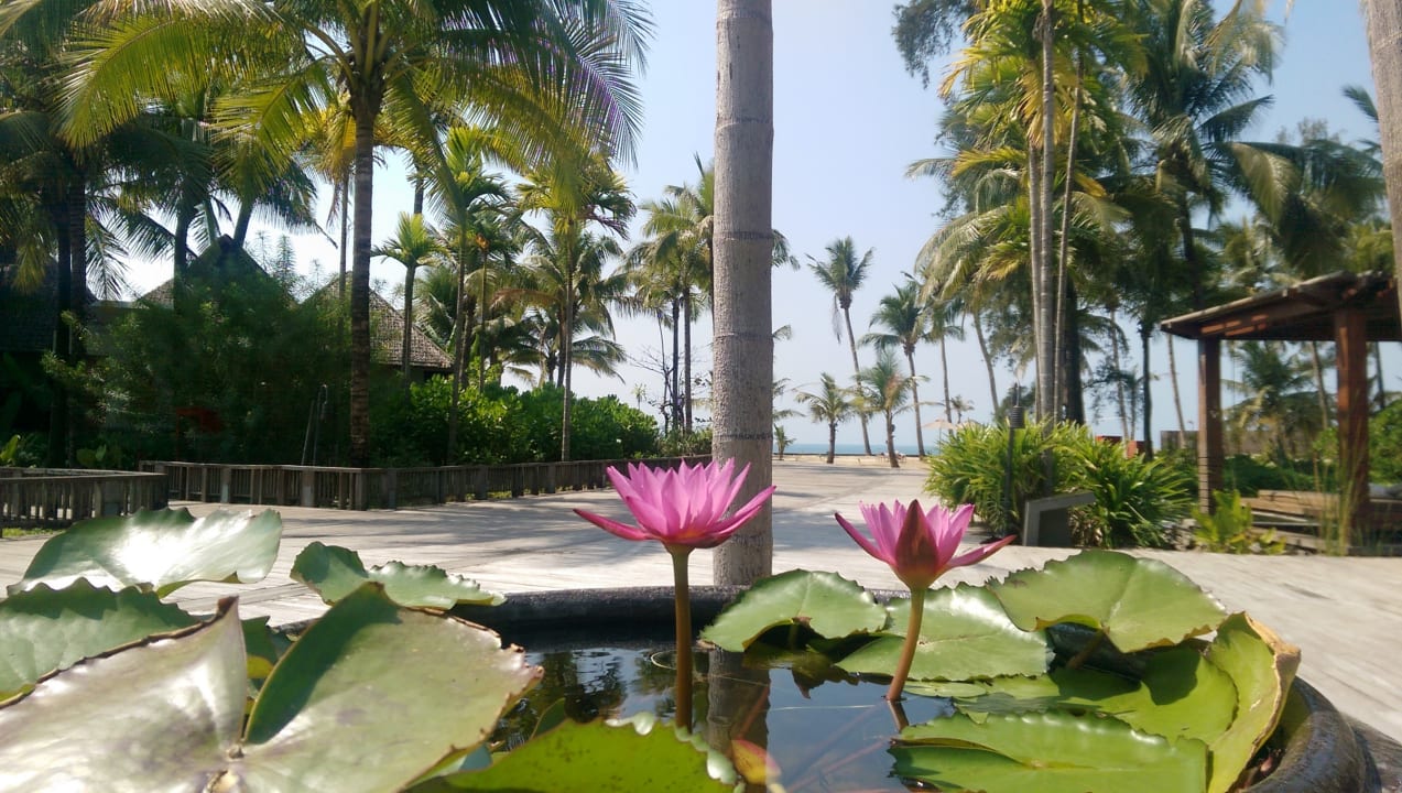 Gartenanlage Hilton Ngapali Resort & Spa